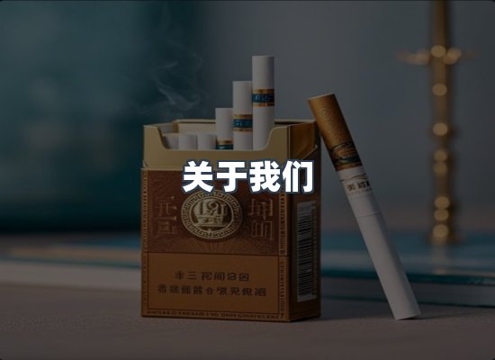 关于我们